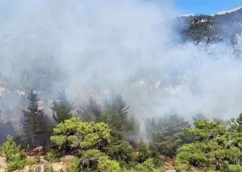 Antalya ve Muğla’da orman yangını