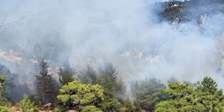 Antalya ve Muğla’da orman yangını