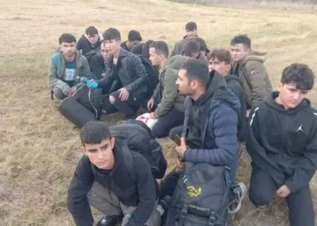 87 kaçak göçmen yakalandı