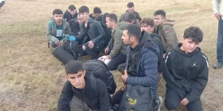 87 kaçak göçmen yakalandı