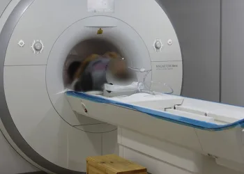 Hemoroid hastaları dikkat