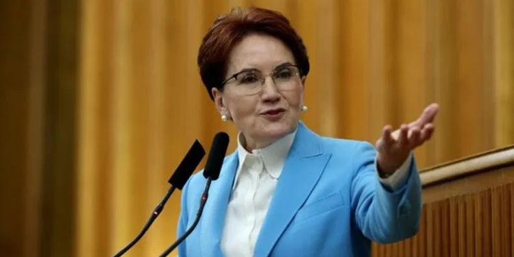 Akşener’den Anayasa Mahkemesine başvuru