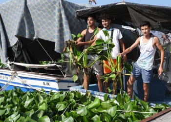Asi Nehri’ni adeta esir aldılar