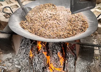 Nohudun meşe ateşinde başlayan yolculuğu