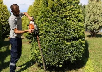 Kocaeli’de sonbahar hazırlığı