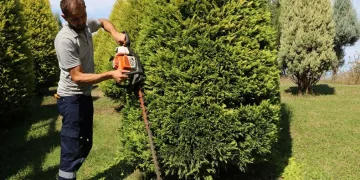 Kocaeli’de sonbahar hazırlığı