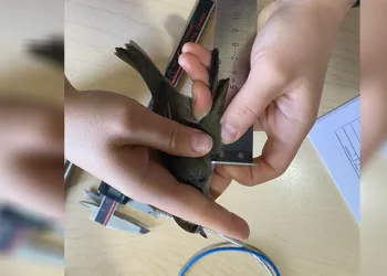 5 yılda 12 bin kuş halkalandı