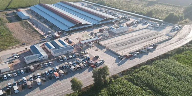 Modern Hayvan Pazarı sektörün önünü açtı