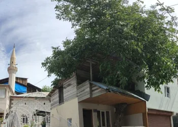 Kütüphanenin çatısının içinden yükseliyor