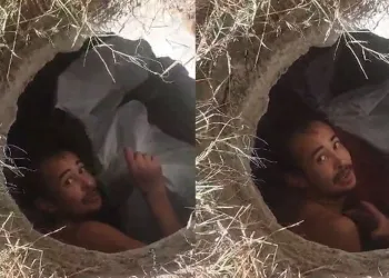 Rögardan kaçak göçmen çıktı