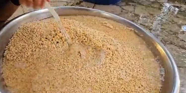 Buğdayın, bulgur olma yolculuğu