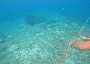 Filipinler, yüzen bariyeri kaldırdı