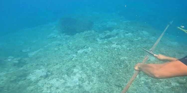 Filipinler, yüzen bariyeri kaldırdı