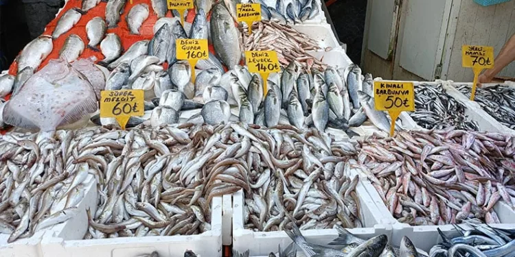 Tezgahların bu sezonki starı ‘hamsi’
