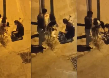 Otomobil çarpan kediye dakikalarca kalp masajı yaptılar