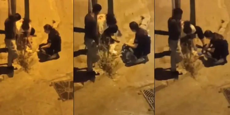 Otomobil çarpan kediye dakikalarca kalp masajı yaptılar