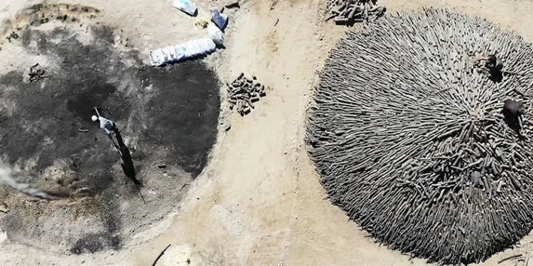 Zor şartlar altında mangal kömürü