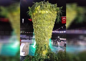Üzüm Festivalinde dev üzüm salkımı