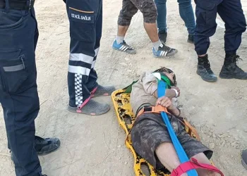 Domuz avına çıkan avcılar fark etti