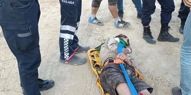 Domuz avına çıkan avcılar fark etti