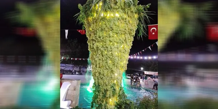 Üzüm Festivalinde dev üzüm salkımı