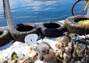 Dünya Temizlik Günü’nde 432 kilo atık toplandı