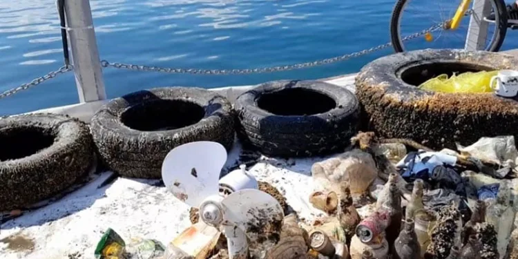 Dünya Temizlik Günü’nde 432 kilo atık toplandı