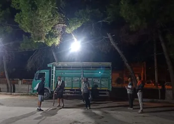 Topu almak isterken ağaçta mahsur kaldı