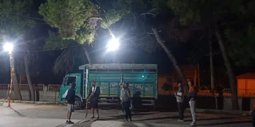 Topu almak isterken ağaçta mahsur kaldı