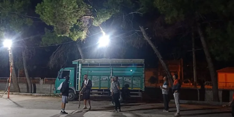 Topu almak isterken ağaçta mahsur kaldı