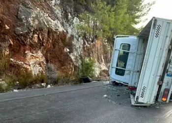 Kontrolden çıkan kamyonet yan yattı