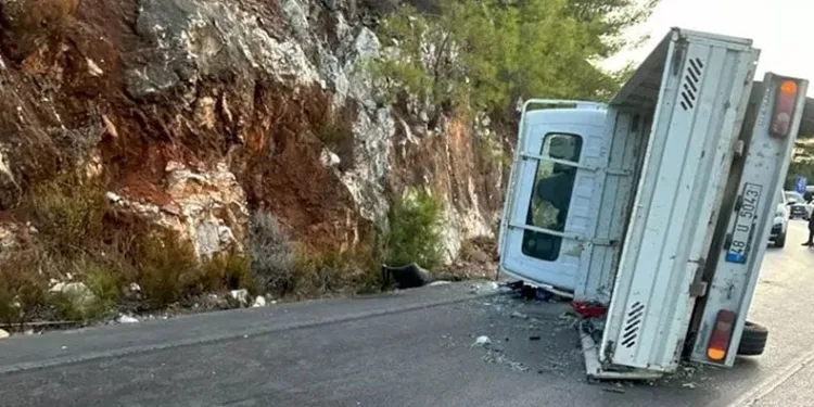 Kontrolden çıkan kamyonet yan yattı