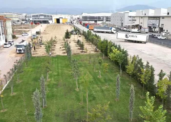 Atıl alan İnegöl’e nefes olacak