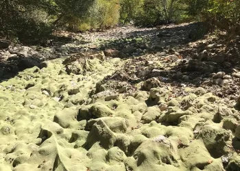 Üzümdere ırmağı kurudu