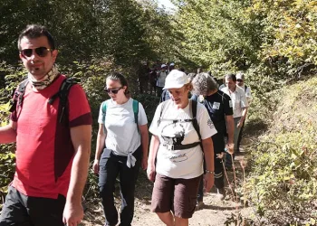 Kalp sağlığı için yürüdüler