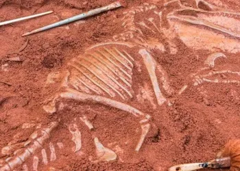 Bilim insanlarını şaşırtan keşif