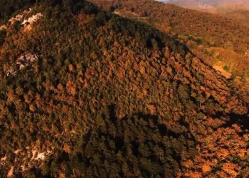 Zonguldak’ta eşsiz sonbahar manzarası