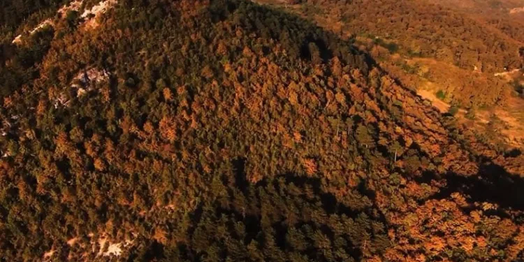 Zonguldak’ta eşsiz sonbahar manzarası