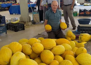 Cömert satıcı