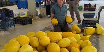 Cömert satıcı