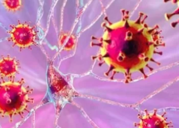 Hindistan’da Nipah virüsü alarmı