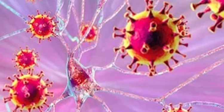 Hindistan’da Nipah virüsü alarmı