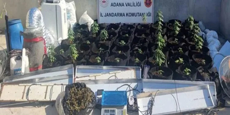 Ceyhan’da uyuşturucu operasyonu