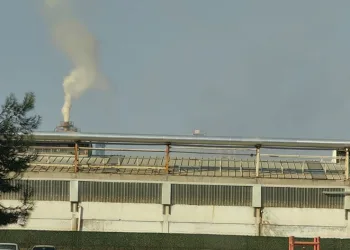Orman ürünleri fabrikasında korkutan patlama
