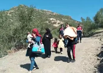 Ayvacık’ta 42 kaçak göçmen yakalandı
