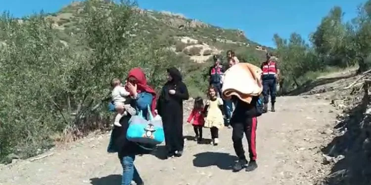 Ayvacık’ta 42 kaçak göçmen yakalandı