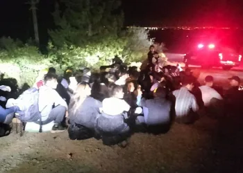 Milas’ta 111 düzensiz göçmen yakalandı