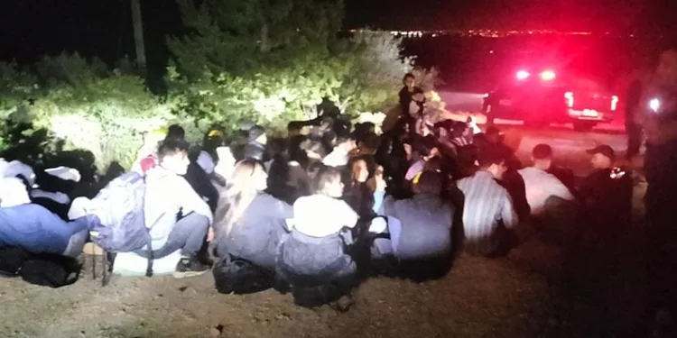 Milas’ta 111 düzensiz göçmen yakalandı