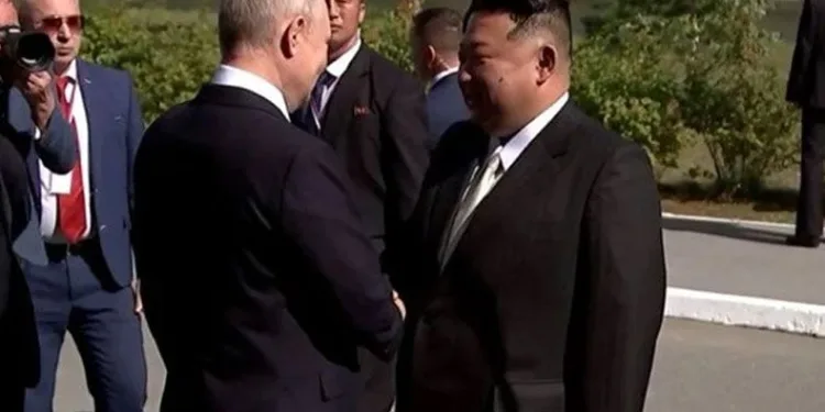 Hassas alanlarda iş birliği