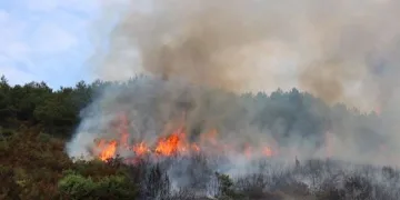 Aydos Ormanı’nda yangın